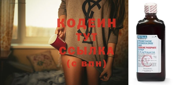 гашик Козельск